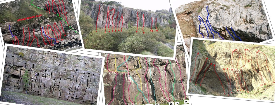 Free topos for selected crags